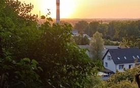 FB_IMG_1771186856475
