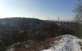 FB_IMG_1771049417217