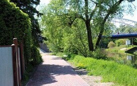 IMG_7538