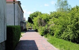 IMG_7532