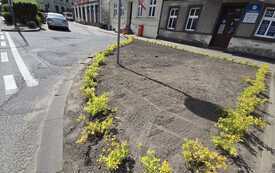 IMG-20260521-WA0002
