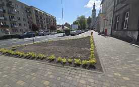 IMG-20260521-WA0001