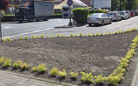 IMG-20260521-WA0000