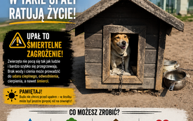 UPAŁY