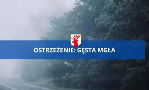 Zdjęcie do IMGW ostrzega: może wystąpić gęsta mgła