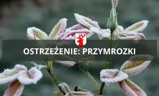 Zdjęcie do IMGW ostrzega: temepratura spadnie poniżej 0