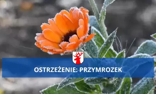 Zdjęcie do Przed nami kolejna noc z przymrozkami