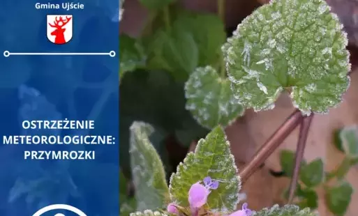 Zdjęcie artykułu z dnia 12-05-2025