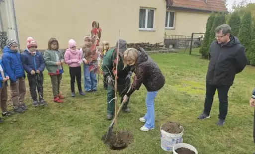Zdjęcie do Burmistrz Ujścia nominowana do akcji #BaumChallenge2025