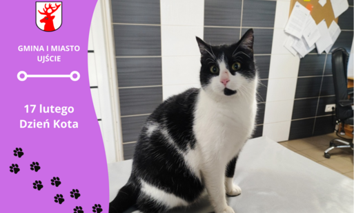 Zdjęcie artykułu z dnia 17-02-2026