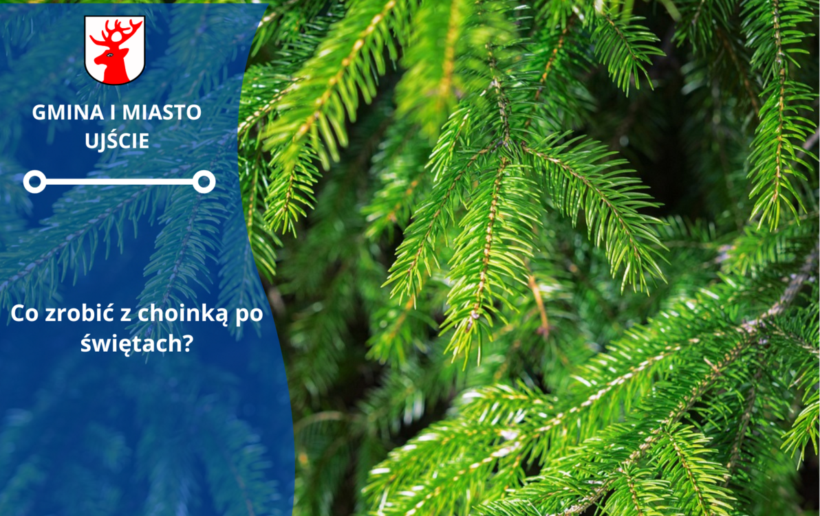 Zdjęcie do Harmonogram odbioru choinek