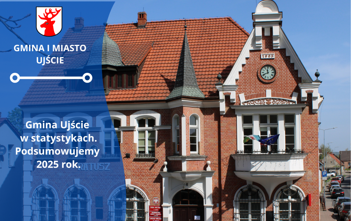 Zdjęcie do Rok 2025 w liczbach