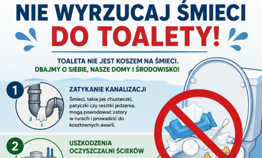 Zdjęcie do Toaleta to nie kosz na śmieci