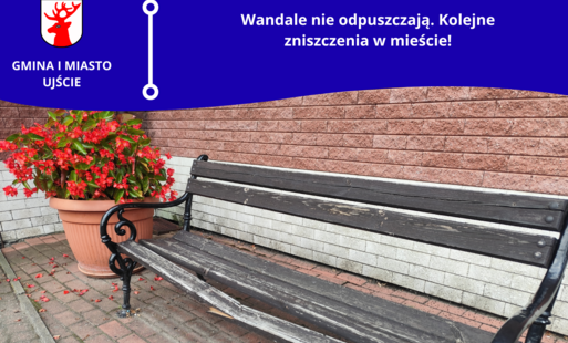Zdjęcie do Wandale niszczą miasto