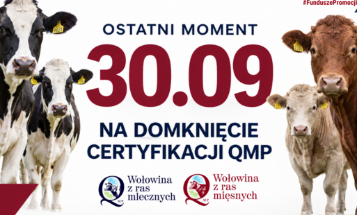 Zdjęcie do Certyfikat QMP &mdash; termin uzyskania upływa 30 września 2026 r.