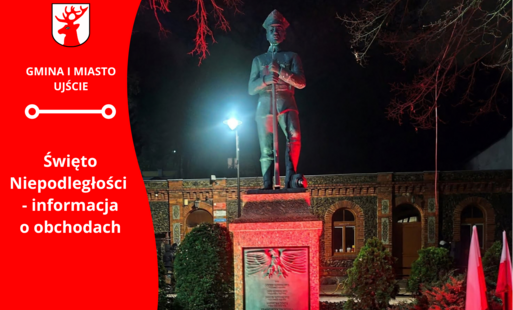 Zdjęcie do Zmiana formuły obchod&oacute;w Narodowego Święta Niepodległości